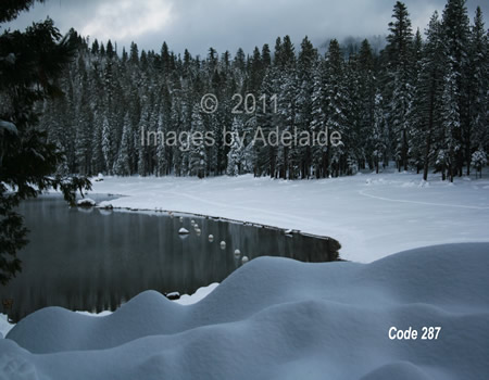 Pinecrest Lake Beach